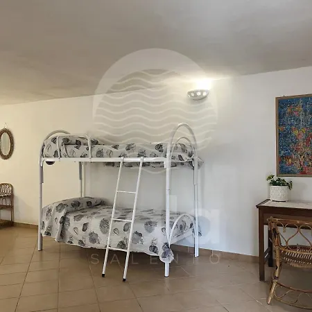Villa Pinwheel - A 400m By Cala Salento